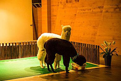 进军主机行业？传V社除了开发Steam Deck 2还在打造家用主机